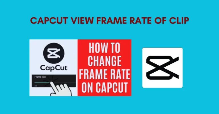 CapCut View Frame Rate of Clip